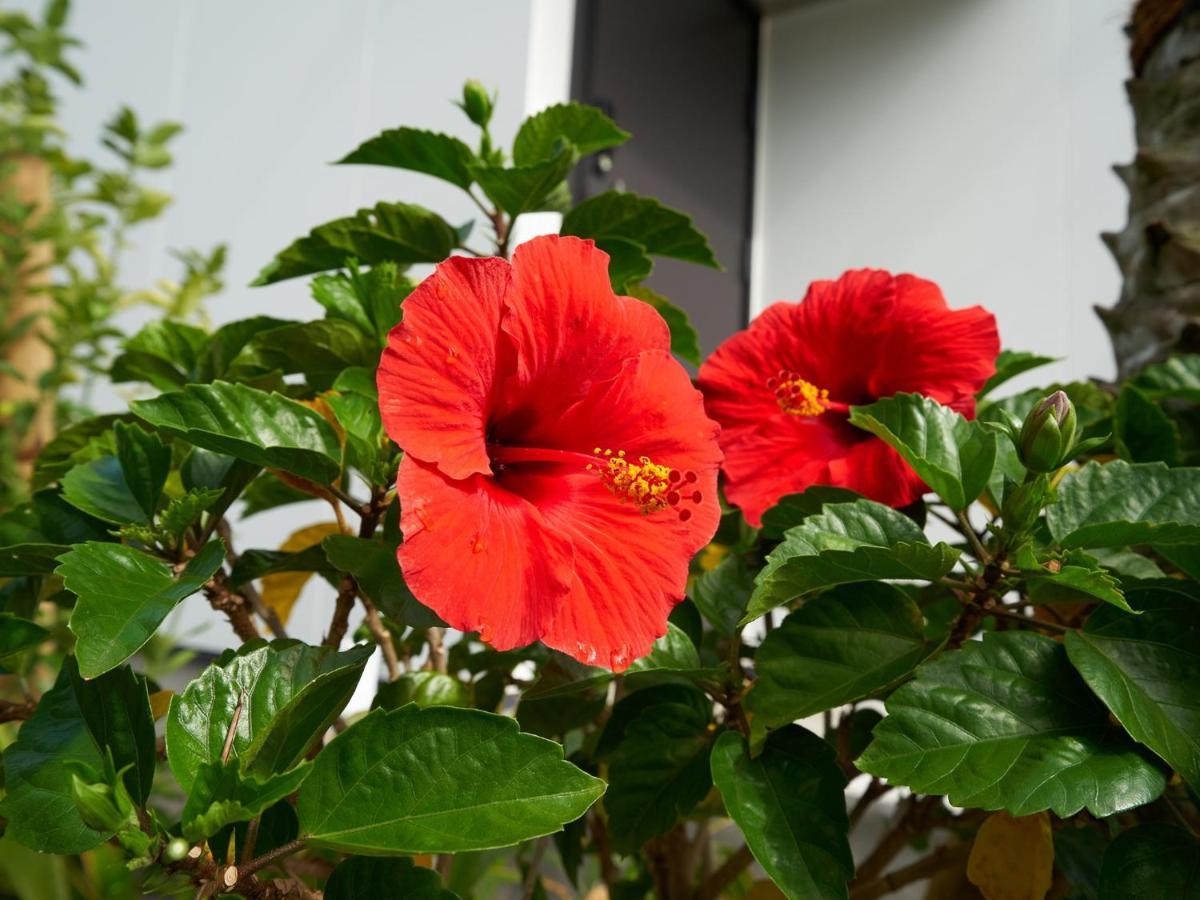 Rakuten STAY HOUSE x WILL STYLE 宮崎青島  102 宮崎市 エクステリア 写真